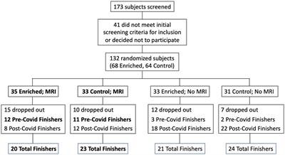 Overnight olfactory enrichment using an odorant diffuser improves memory and modifies the uncinate fasciculus in older adults